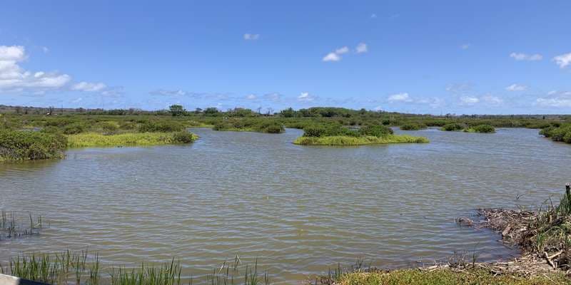 The featured photo for Keālia Coastal Boardwalk Point 1