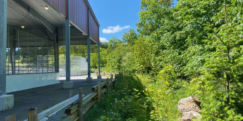 The featured photo for Chase River (Harewood Centennial)