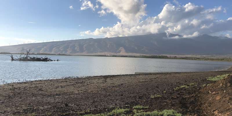 The featured photo for Keālia Kanuimanu Ponds Point 2