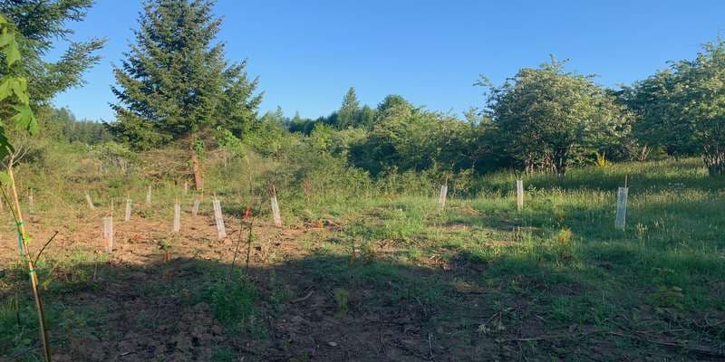 The featured photo for Third Street Park