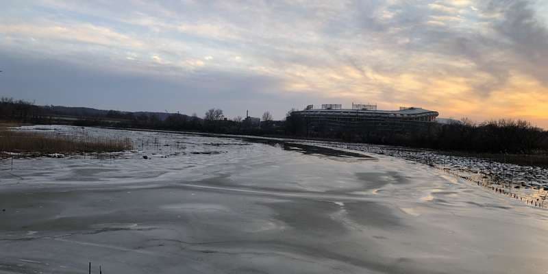 The featured photo for Freshwater Tidal Wetland