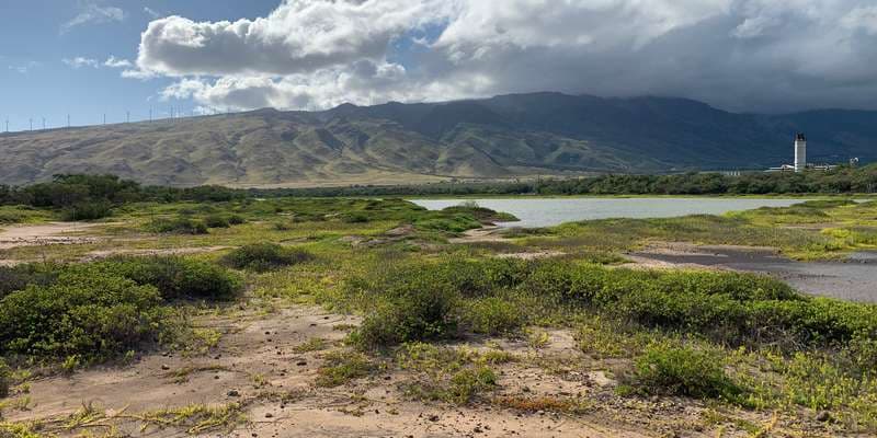 The featured photo for Keālia Coastal Boardwalk Point 2