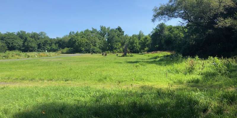 The featured photo for Upper Meadow South